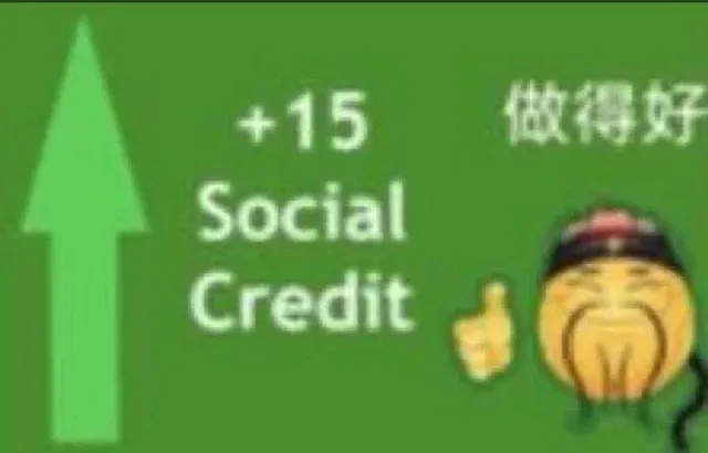+15 social credit 