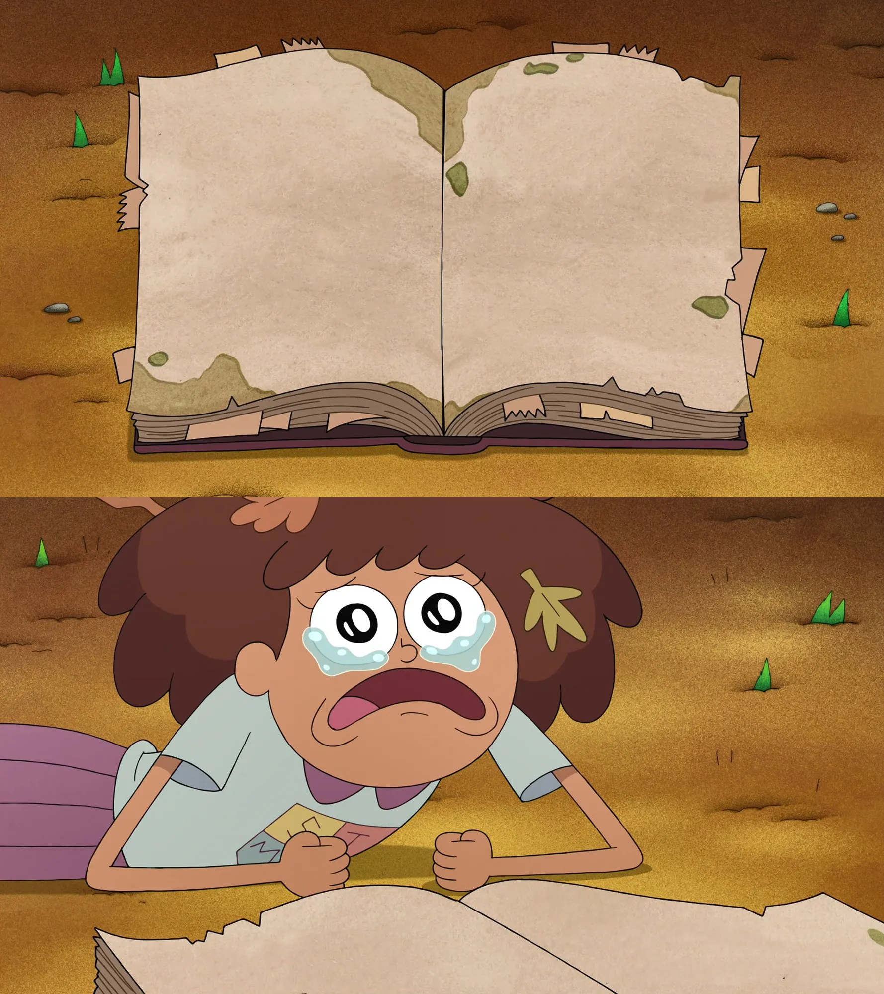 Amphibia sad :( 