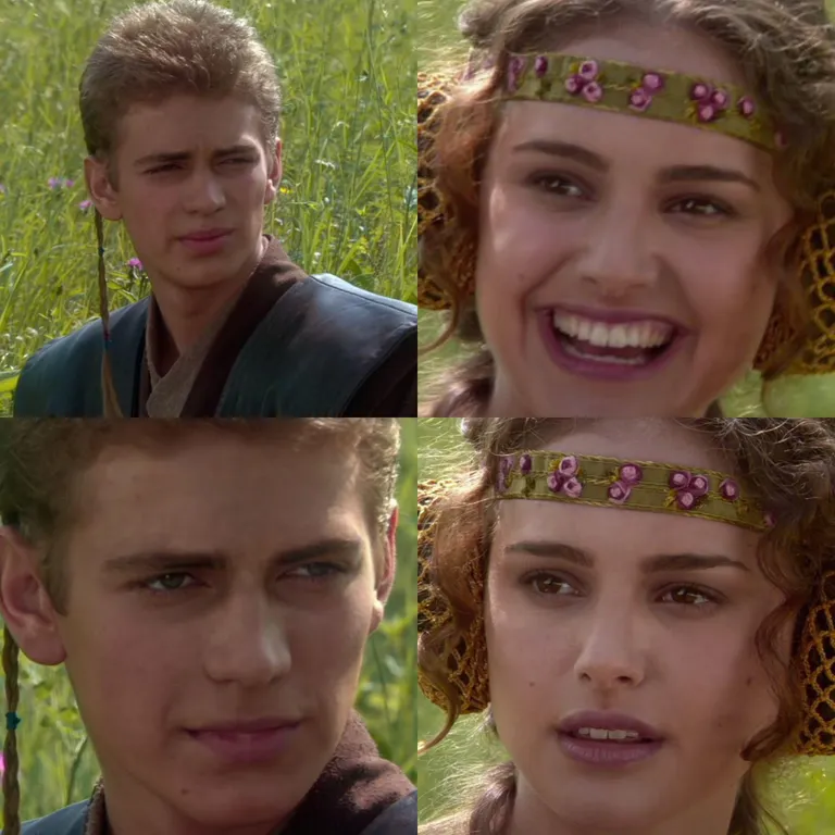 Anakin Padme 4 Panel