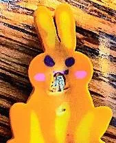 Angery rabbit 
