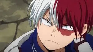 Angry todoroki 