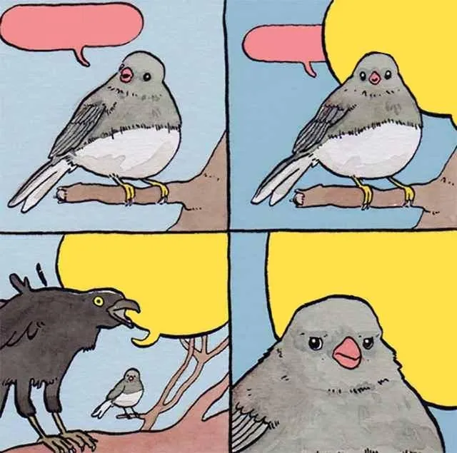 Annoying Crow 