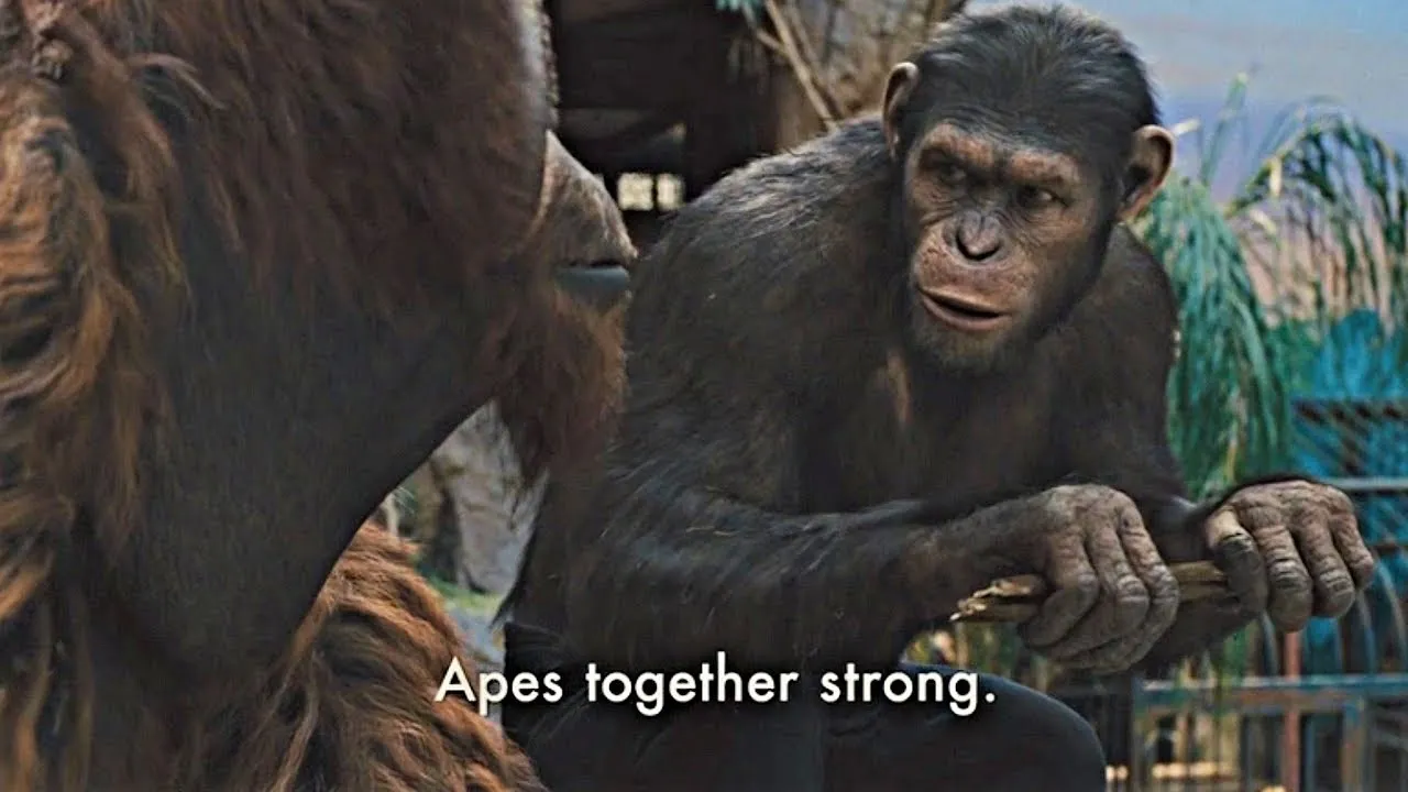 Ape together strong 