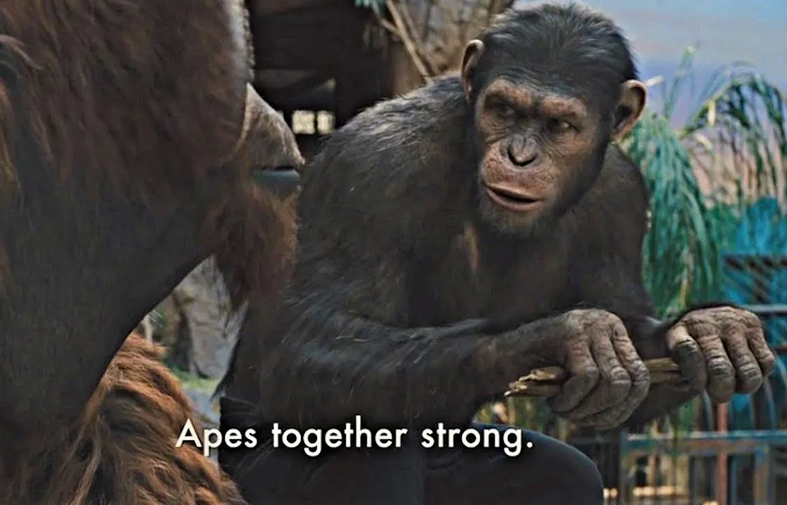 Apes Together Strong