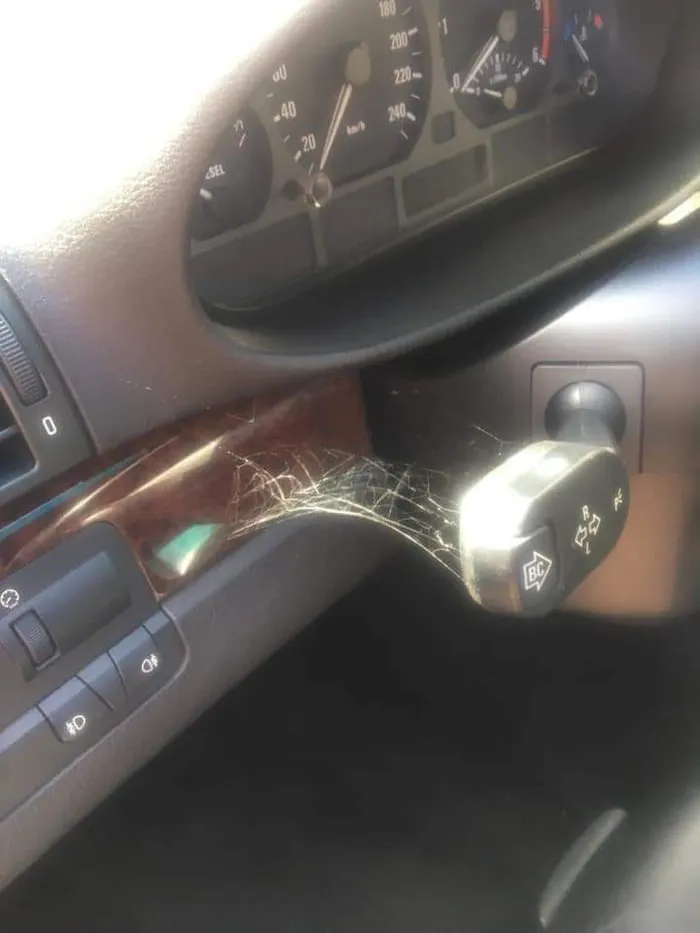 BMW drivers 