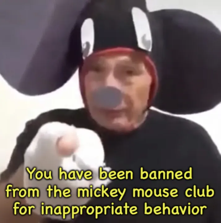 Banned From The Mickey Mouse Club 
