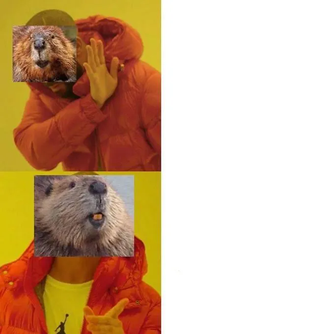Beaver Drake Meme 