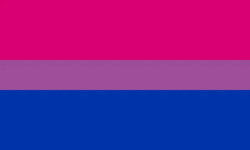 Bi flag 
