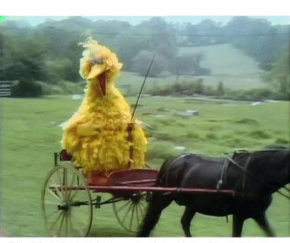 Big Bird in Carriage 