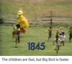 Big Bird is faster 
