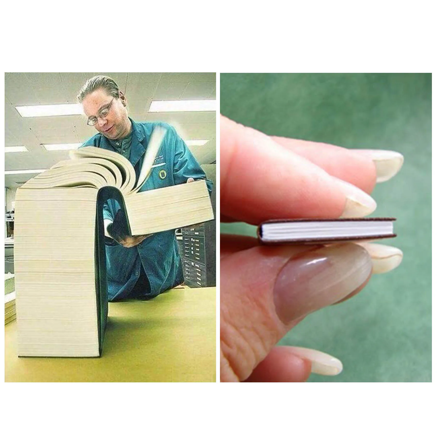 Big book vs Little Book 