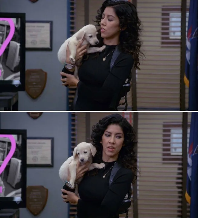 Blank "I've only had Arlo for a day and a half" template 