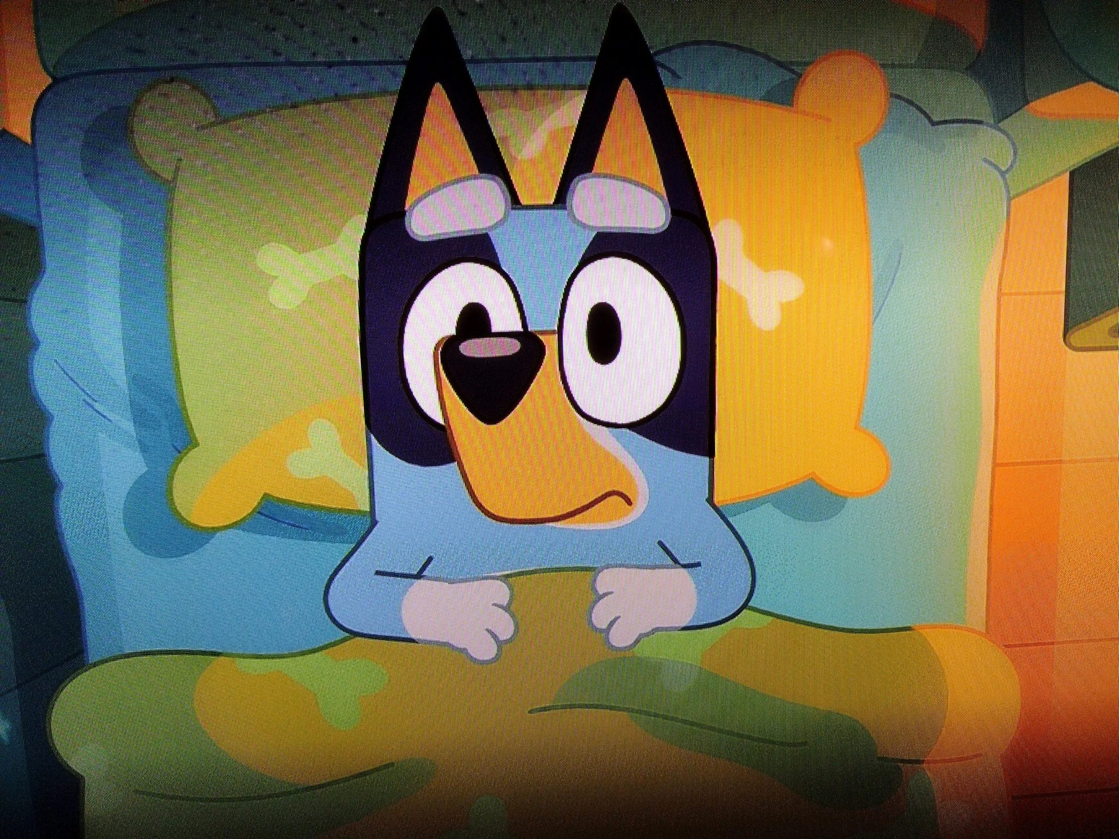 Bluey in bed 