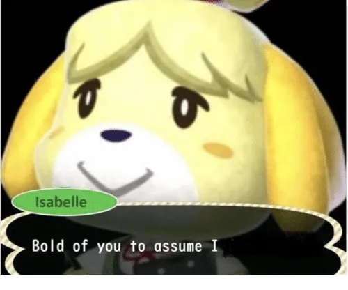 Bold of You to Assume 