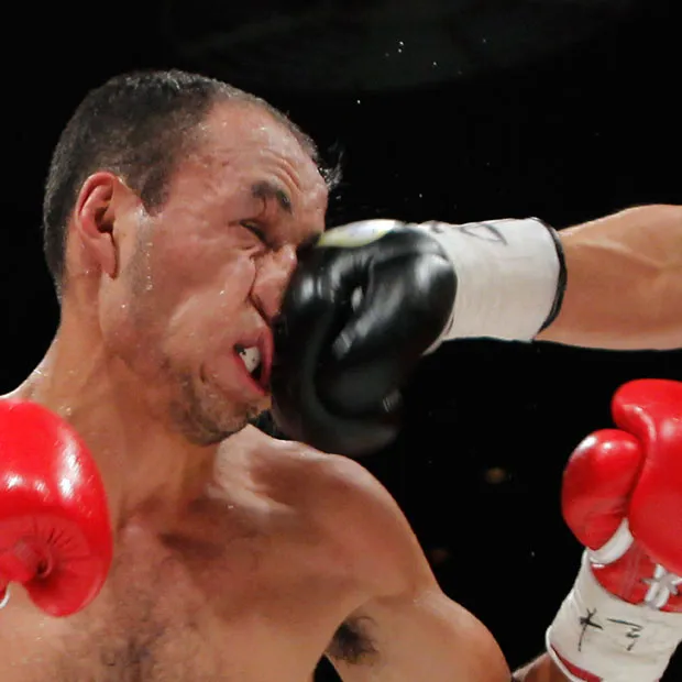 Boxer Getting Punched In The Face 