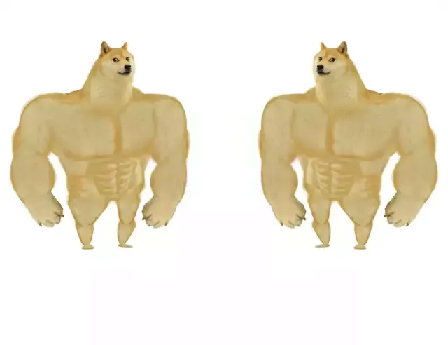 Buff Doge vs Buff Doge 