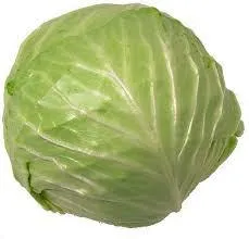 CABBAGE 
