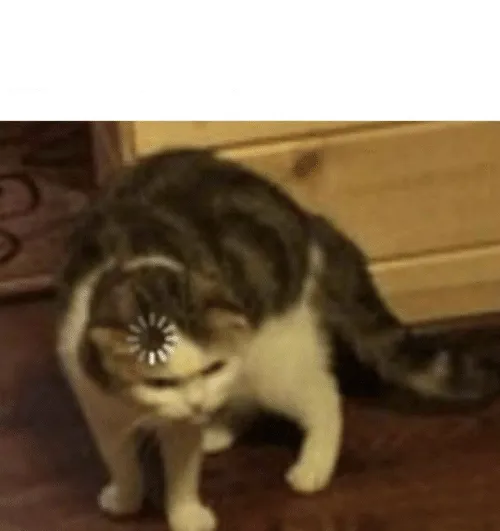 Cat Loading template 