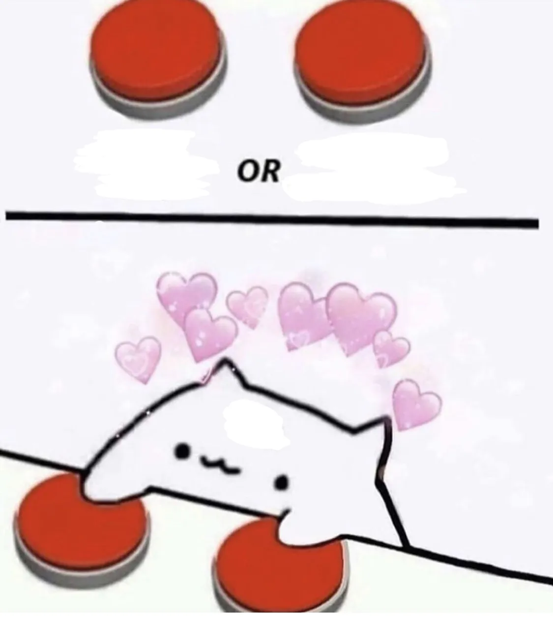 Cat pressing two buttons 