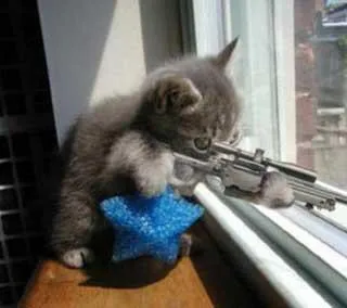 CatSniper 