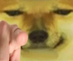 Cheems Pointing At You 
