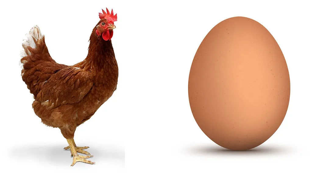 Chicken and egg 