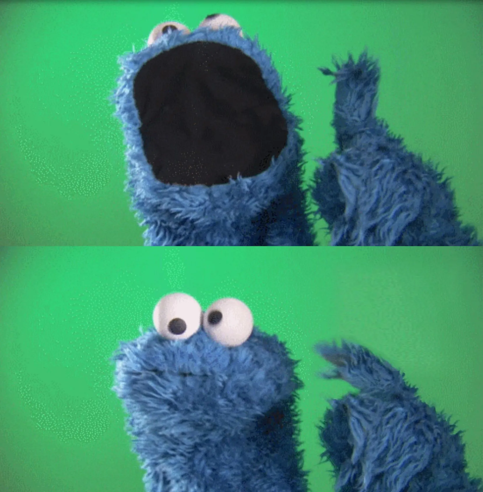 Cookie Monster Wait What 