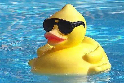 Cool as Duck 