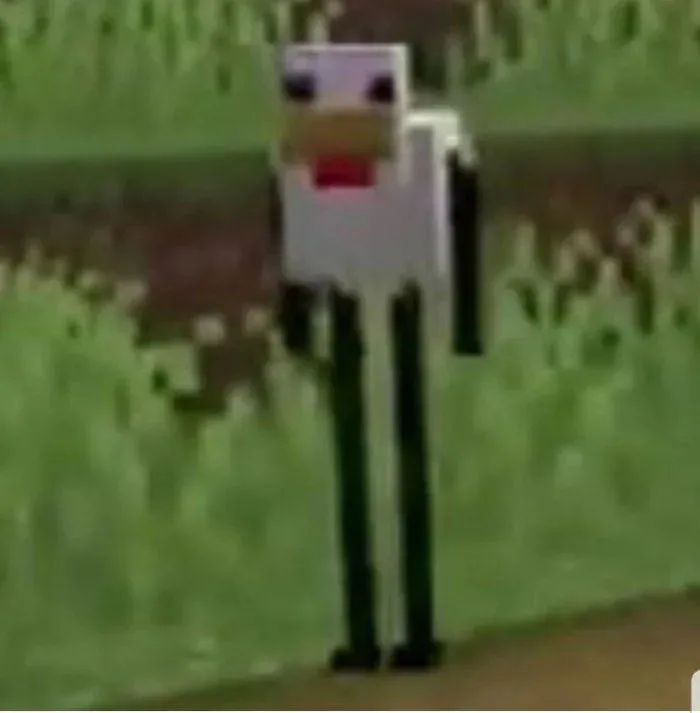 Cursed Minecraft chicken 