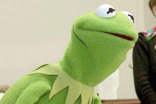 Did you know kermit 