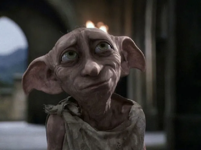 Dobby is a free elf 