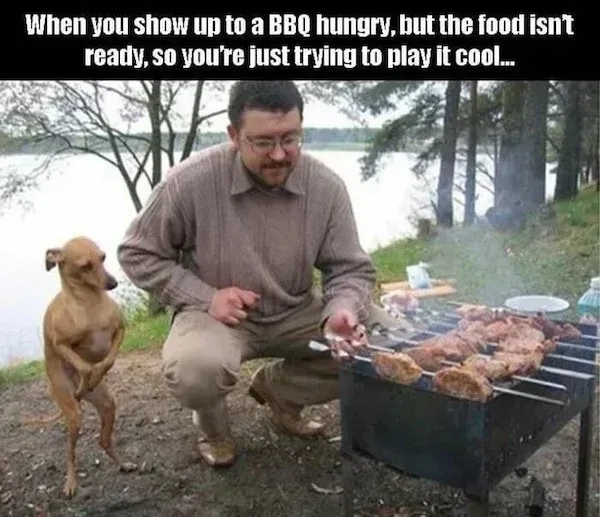 Dobby 