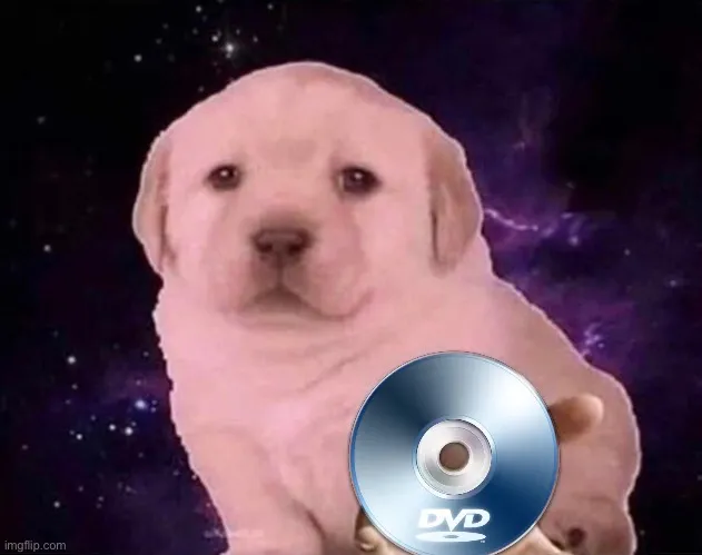 Dog Gives the DVD 