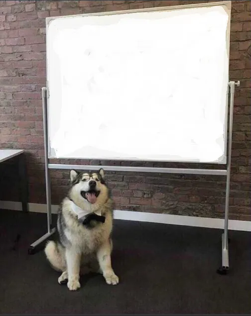 Dog White Board 