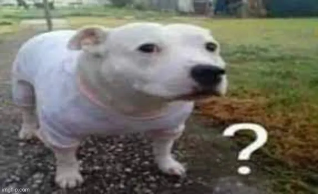 Dog question mark 