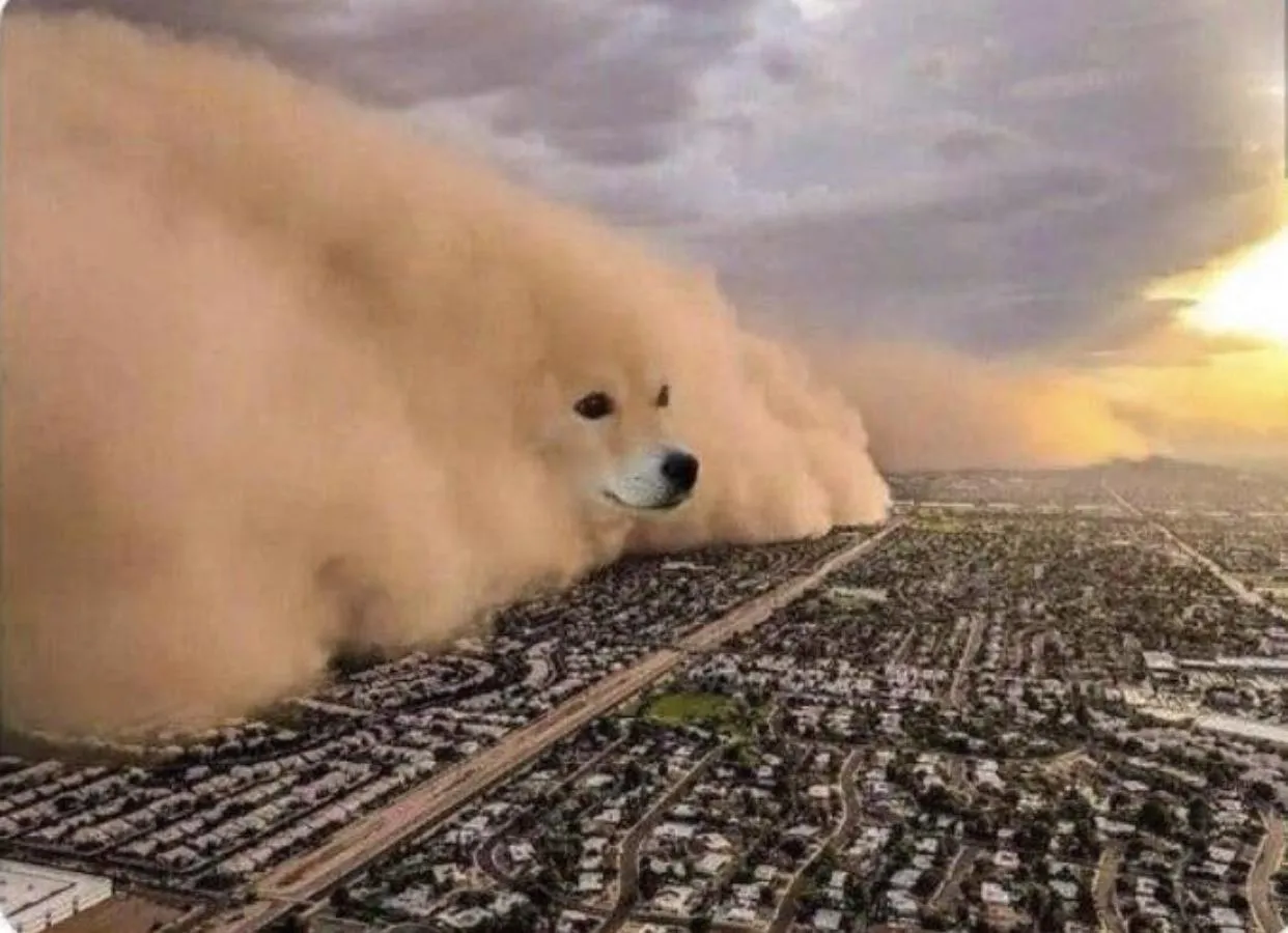 Doge Cloud 