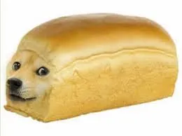 Doge bread 