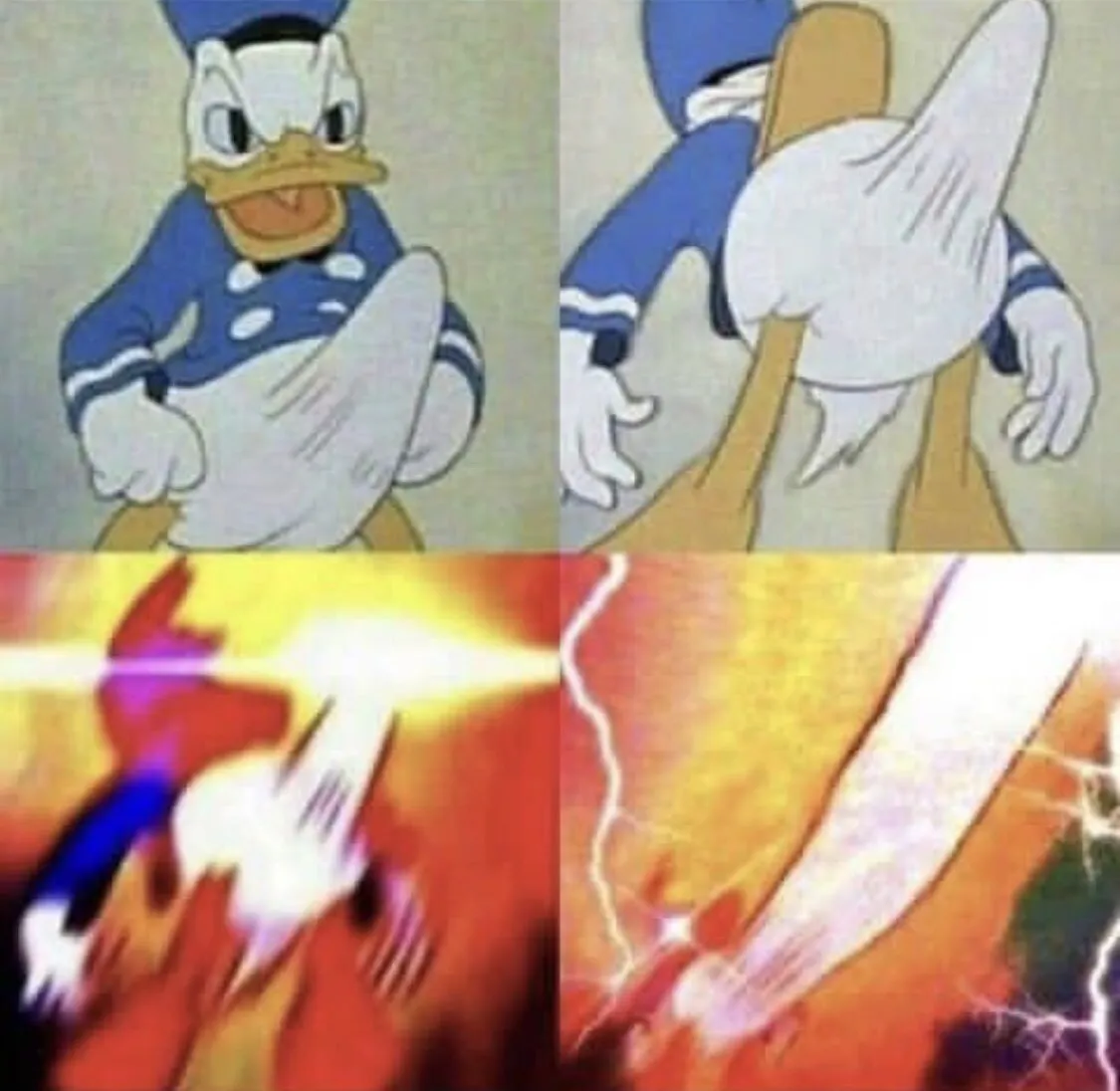 Donald Duck erection 