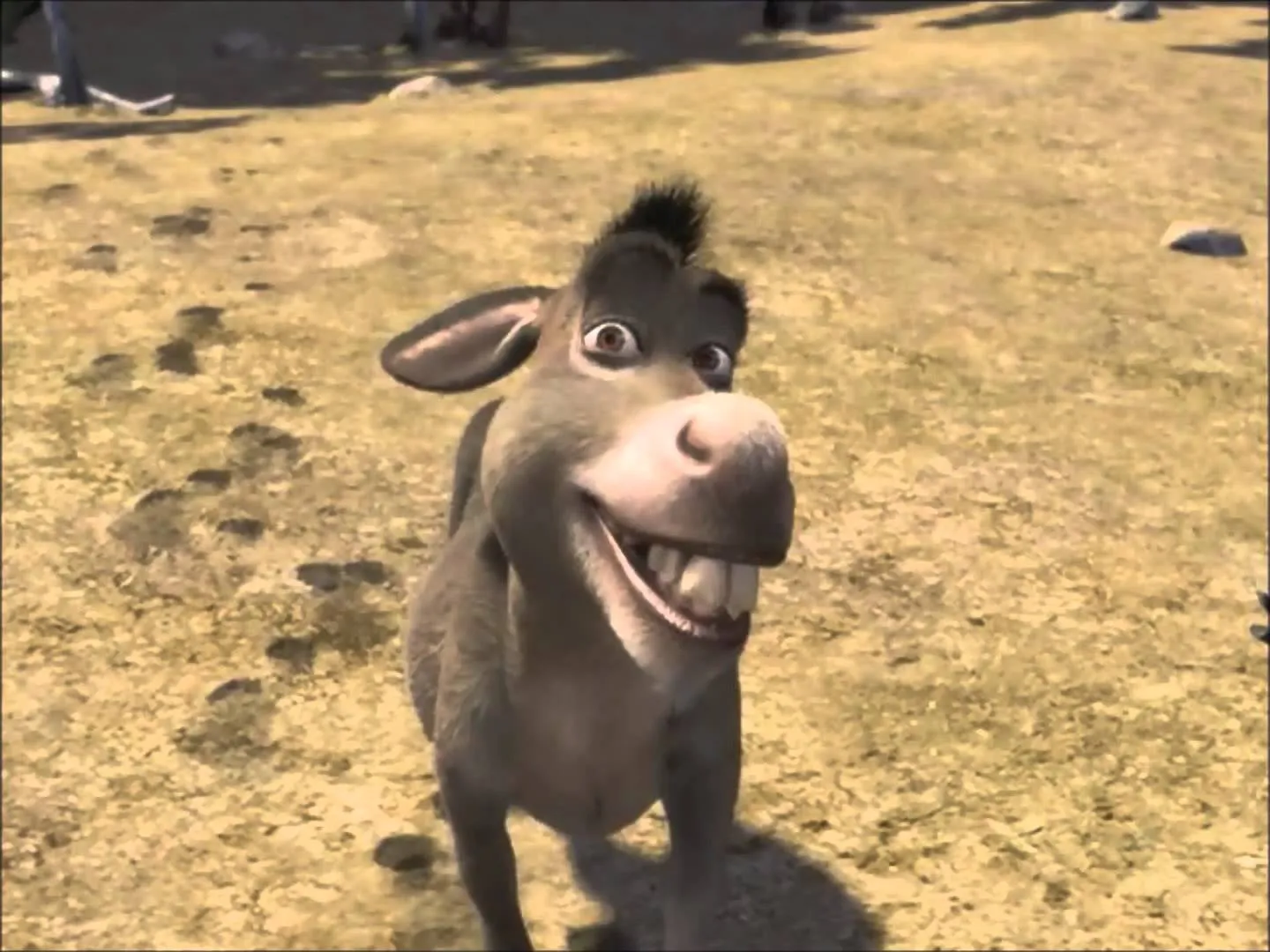 Donkey Shrek 