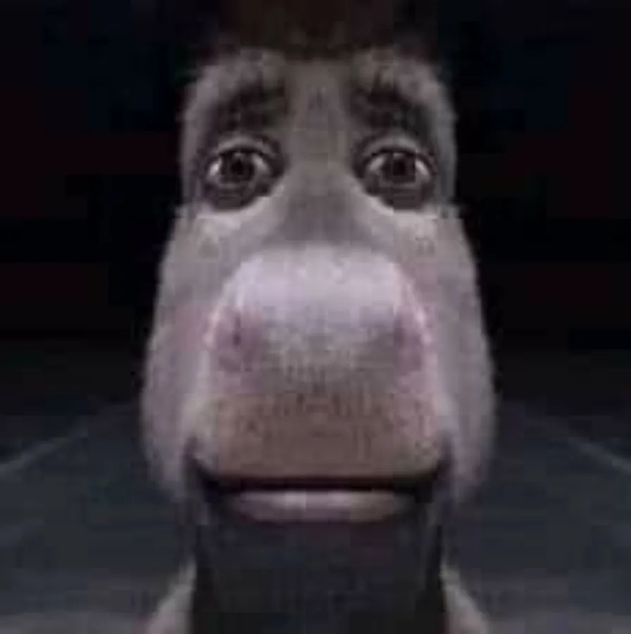 Donkey staring 