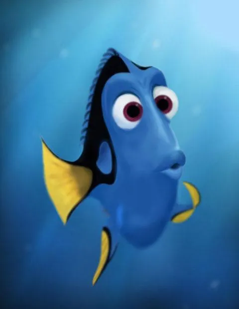 Dory 