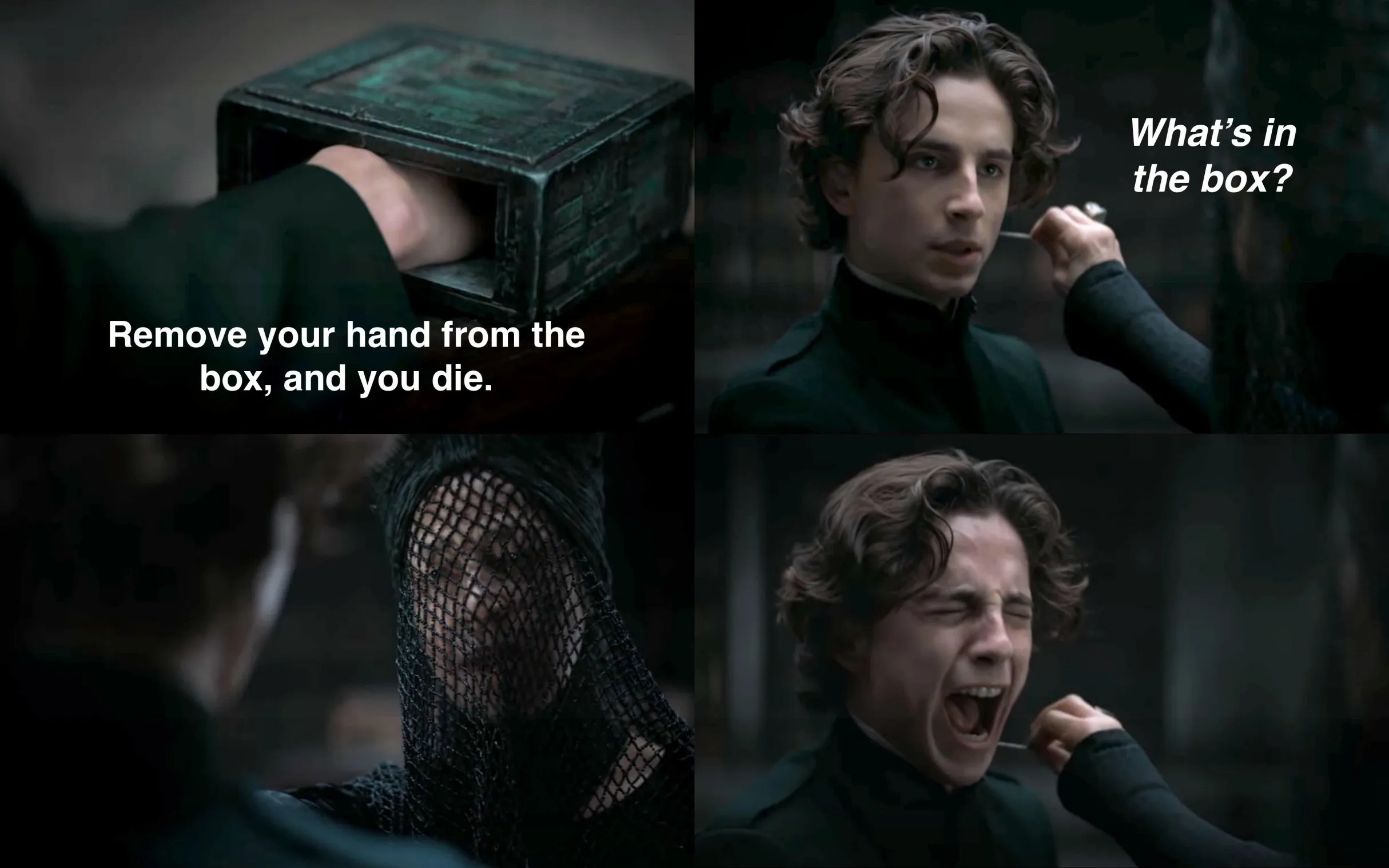 Dune What's in the box 