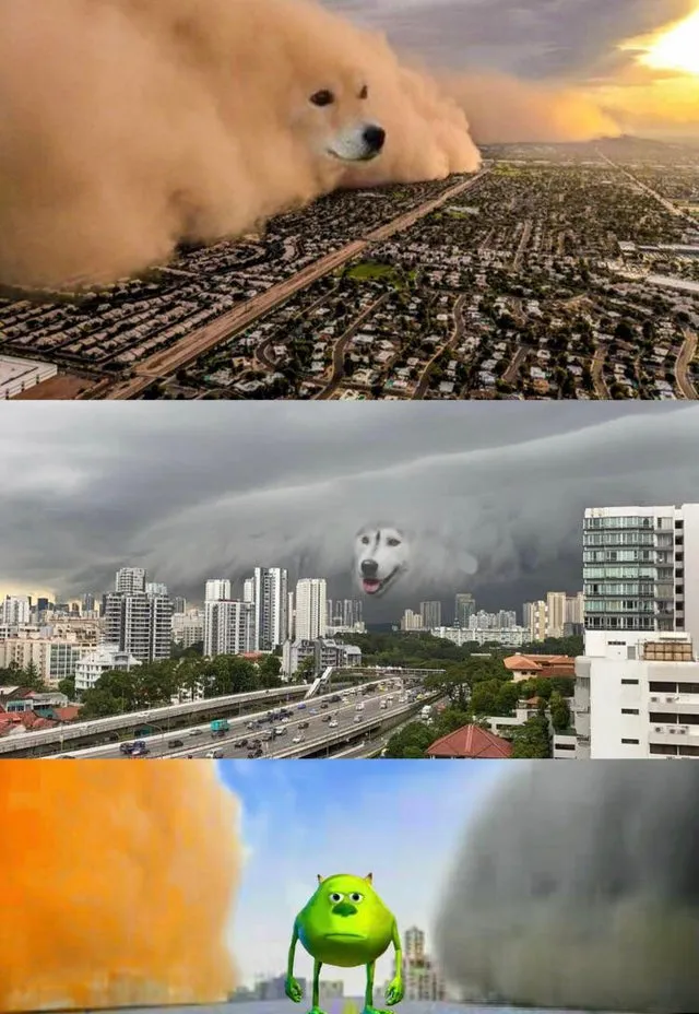 Dust doge storms and Mikey caught in the middle 