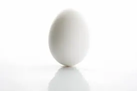 Eggster 