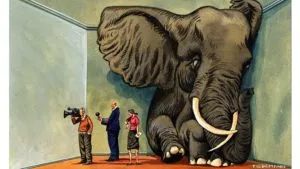 Elephant in the room 