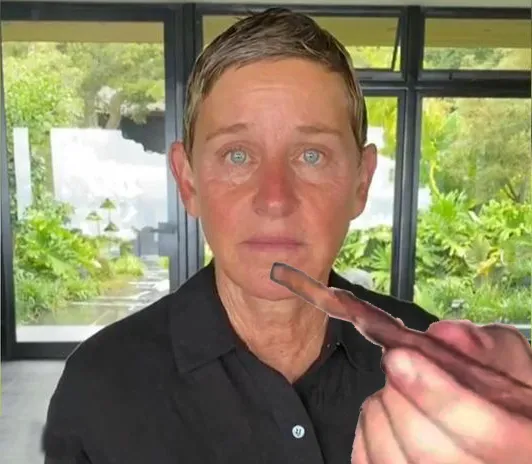 Ellen stoned 