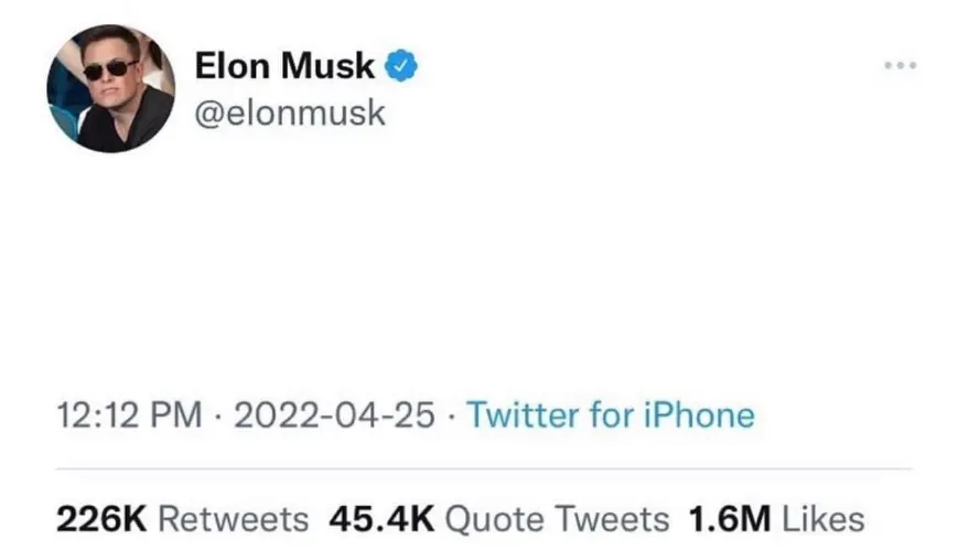 Elon Musk Buying Company 