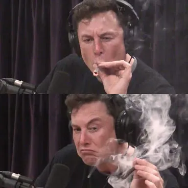 Elon Musk, high as space 