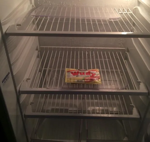 Empty fridge 