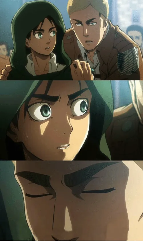 Erwin AOT 